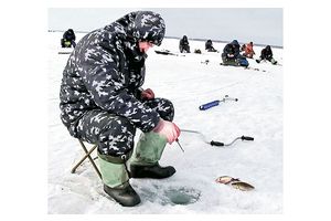 Щука и сом под запретом!