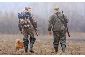 Открытие осенней охоты на зайца с дипломированными собаками