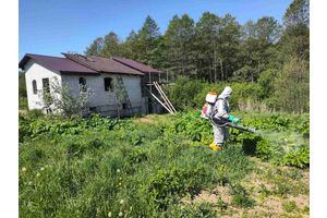 Баршчэўнік нам не сябар