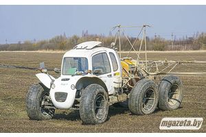 В хозяйствах Молодечненщины завершили сев ранних яровых зерновых и зернобобовых культур