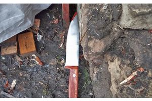 В Радошковичах в одной из семей новый год начался с поножовщины