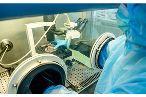 Рассказываем, что известно о будущей белорусской вакцине от COVID-19