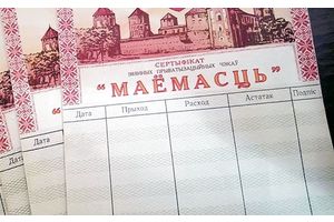 Как распорядиться чеками «Имущество»?