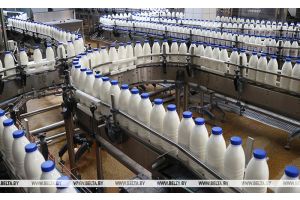 В топ-10 – по молоку, в топ-15 – по мясу: Беларусь – один из ведущих мировых экспортеров продукции АПК