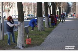Месячник по благоустройству пройдет в Минской области с 1 по 30 апреля