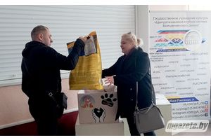Работники культуры Молодечно и волонтеры-зоозащитники помогают бездомным животным