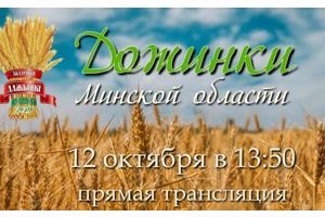 Областной праздник «Дожинки» - в режиме онлайн