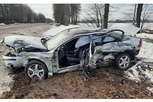 Под Молодечно «Форд» врезался в «Ауди», потом — в придорожное дерево. Водитель «Форда» в больнице