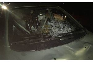 ДТП в Молодечненском районе: погибла пешеход