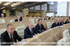 Совет Республики одобрил законопроект об основах государственной молодежной политики