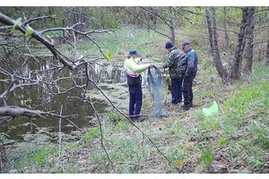 С рогаткой на рыбу…
