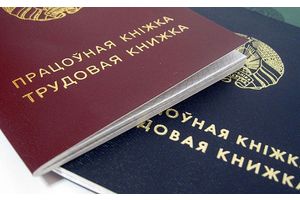 Нанимателям-физическим лицам разрешили не вести трудовые книжки на наемных лиц