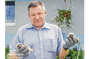 Неабыякавыя людзі выратавалі птушанят сыча