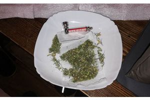 Житель Молодечно в общежитии соорудил домашнюю теплицу, где выращивал коноплю