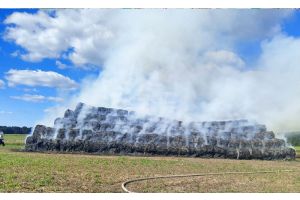 Пожар уничтожил 91 тонну соломы в Малоритском районе