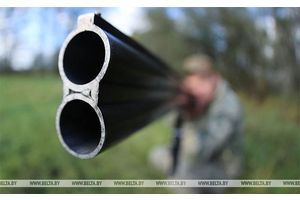 Сезон загонной охоты на копытных откроется в Беларуси 1 октября