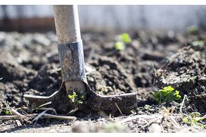 Последствия «красно-уровневых» дней, или Как сохранить огород в период природных апокалипсисов