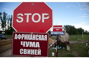 Осторожно: АЧС!