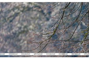 До +9°C будет сегодня в Беларуси