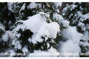 Сильный снег, туман и гололед ожидаются сегодня в Беларуси