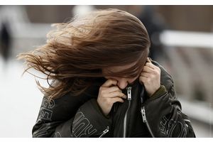 ГАИ призывает водителей ограничить поездки из-за усиления ветра