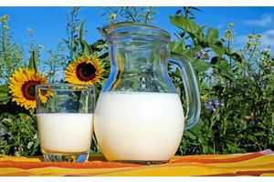Молоко: полезно или вредно?