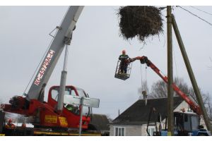 Безопасный дом для аистов