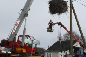 Безопасный дом для аистов