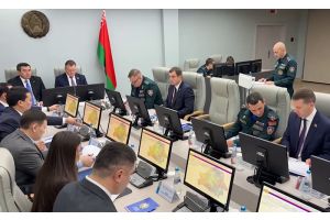 Безопасность на АЭС, пожарная техника, обучение специалистов. Что обсуждали главы МЧС Беларуси и Казахстана