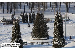 Снег и до -13°С по северу. Какой будет погода сегодня в Беларуси