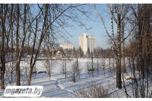 Снег с дождем и до +2°С. Какой будет погода в Беларуси сегодня