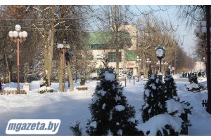 Облачно и морозно будет 21 января в Беларуси