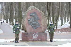 15 февраля в 10.00 в парке культуры и отдыха имени Победы состоится митинг, посвященный Дню памяти воинов-интернационалистов