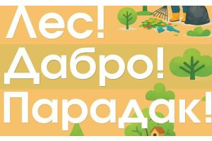 «Лес! Дабро! Парадак!». Минлесхоз приглашает белорусов провести весну с пользой для леса