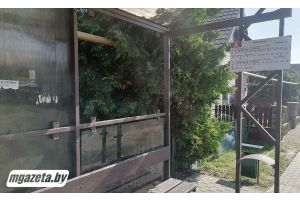 Павильон под натиском вандалов
