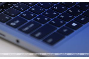 МВД: более 2,5 тыс. кибермошенничеств было зарегистрировано с начала 2026 года