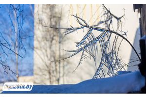 Чего белорусам ждать от погоды 23 февраля, рассказали синоптики