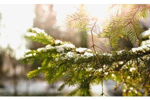 Облачно, во многих районах осадки. Какой будет сегодня погода в Беларуси