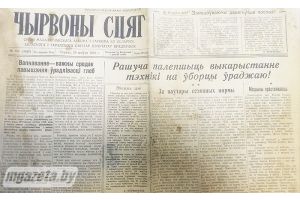 Эхо прошлого: что рассказывают старые газеты