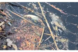 Водоем не предназначен для любительского рыболовства