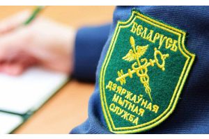Как субъекту хозяйствования получить информацию о своей внешнеторговой деятельности у таможенных органов