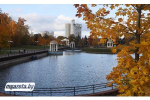 Облачно, на отдельных участках дорог - гололедица. Какой будет погода в Беларуси 28 ноября
