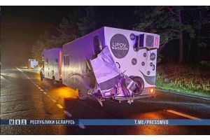 В ДТП под Вилейкой с участием микроавтобуса пострадали восемь человек