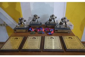 Представительные борцовские соревнования стартовали в Молодечно