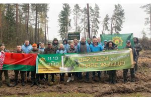 Сегодня в Молодечненском районе было высажено четыре тысячи саженцев!