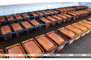 Для улучшения качества. На Оршанском хлебозаводе модернизировали линию производства хлеба