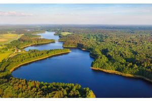 В отпуск к китам по специальному тарифу