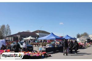 Добро пожаловать на ярмарку!