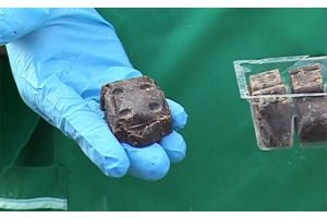 Внимание: вакцинация