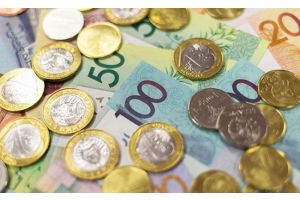 Информация о размере пособия по уходу за ребенком до 3 лет для ИП, лиц, осуществляющих ремесленную деятельность, деятельность в сфере агроэкотуризма, адвокатов, нотариусов